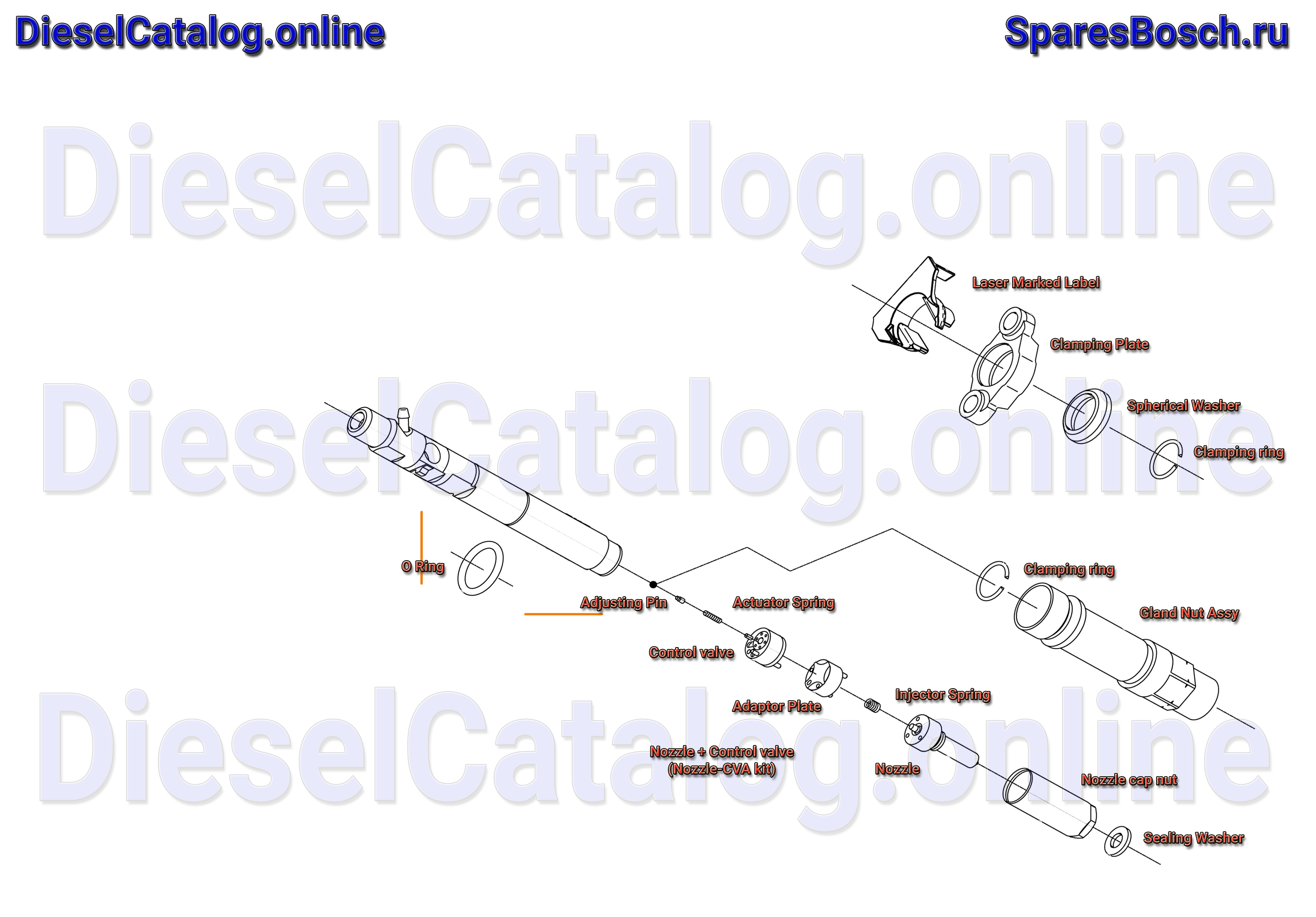 R02901D, Injector CR, Common Rail system DELPHI